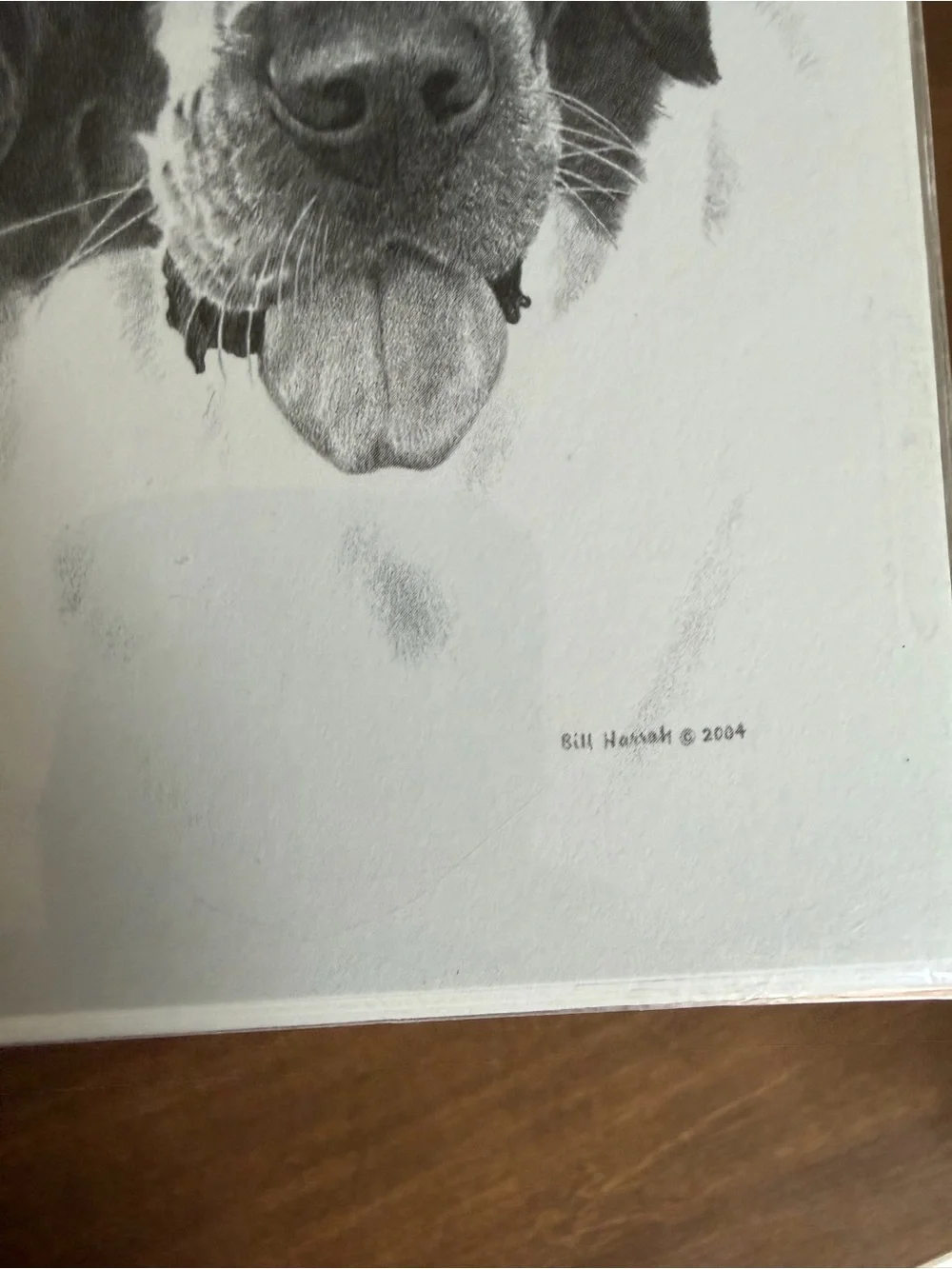 Saint Bernard Dog Note Cards (8) Fine Art Drawing